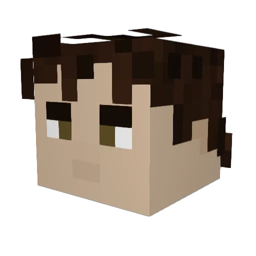 tybiggs1234 Minecraft avatar head, 3D render
