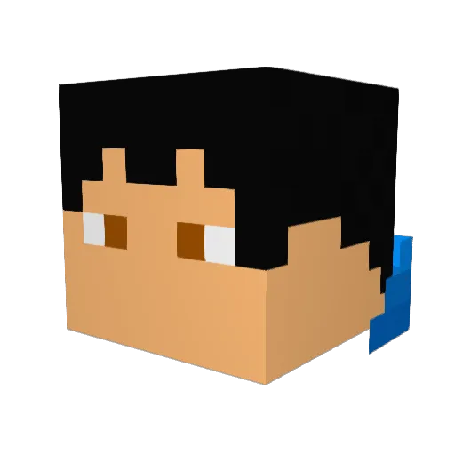 tyboomboom1 Minecraft avatar head, 3D render