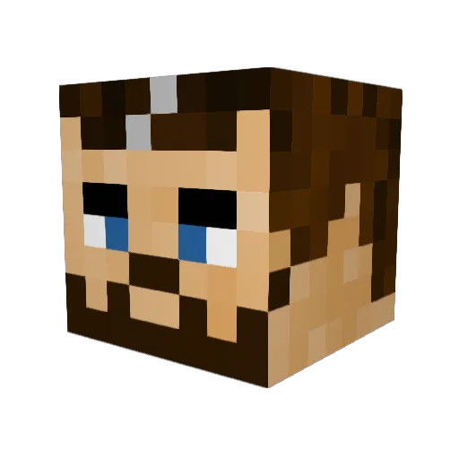 tydigi Minecraft avatar head, 3D render