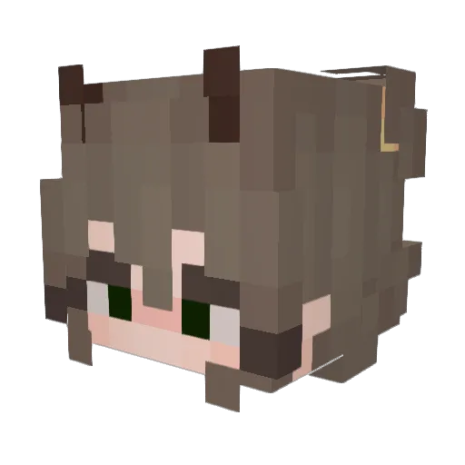 tyedyebug Minecraft avatar head, 3D render