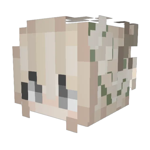 tyedyecujo Minecraft avatar head, 3D render
