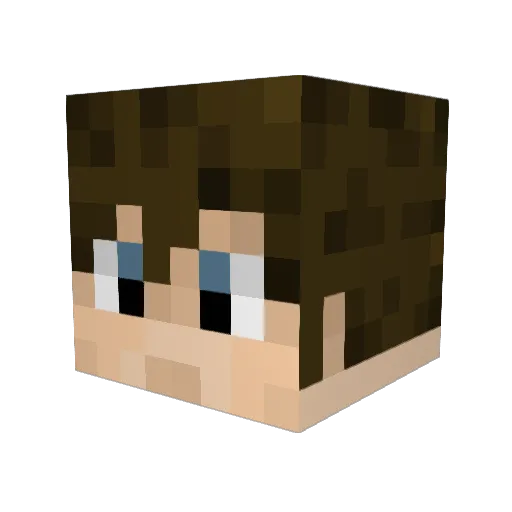 tyer24689 Minecraft avatar head, 3D render