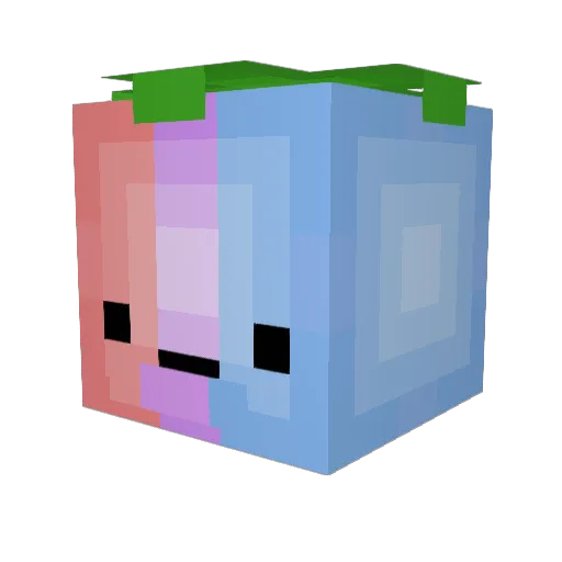 tyeung3139 Minecraft avatar head, 3D render