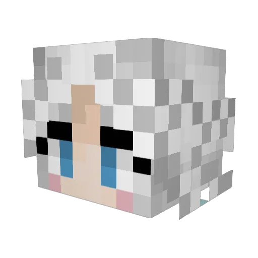 tygahow Minecraft avatar head, 3D render