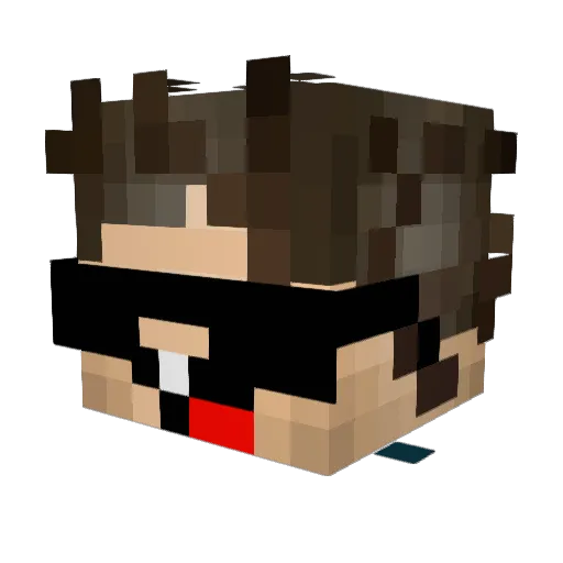 tygocraft9 Minecraft avatar head, 3D render