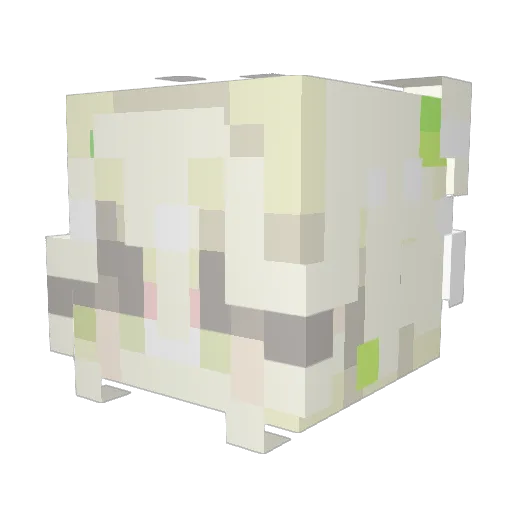 tygonis Minecraft avatar head, 3D render