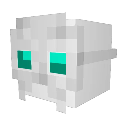 tygrh Minecraft avatar head, 3D render