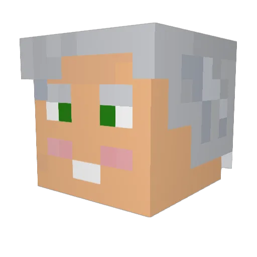 tyjbean Minecraft avatar head, 3D render
