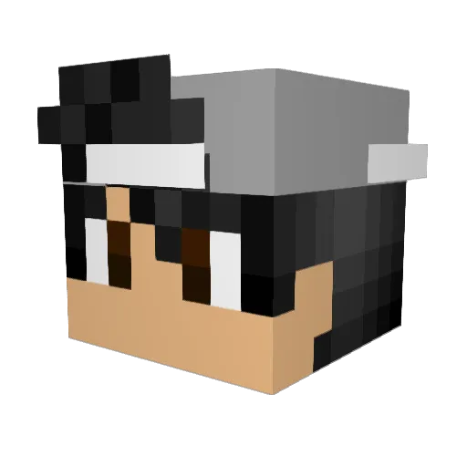 tylah12 Minecraft avatar head, 3D render