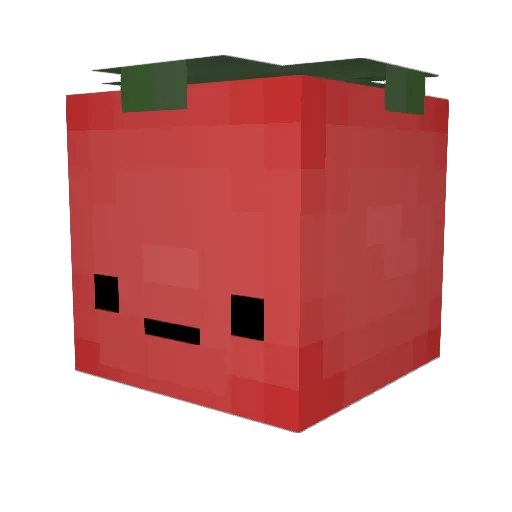 tylcnol Minecraft avatar head, 3D render
