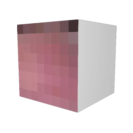 tyler1dufflebag Minecraft avatar head, 3D render