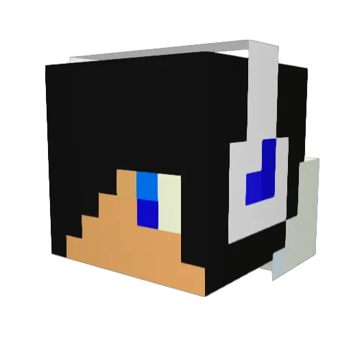 tyler35864 Minecraft avatar head, 3D render