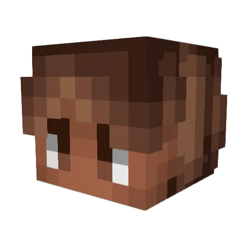 tyler999906 Minecraft avatar head, 3D render
