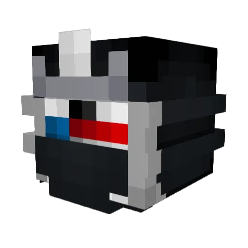 tylerXsweatgod Minecraft avatar head, 3D render