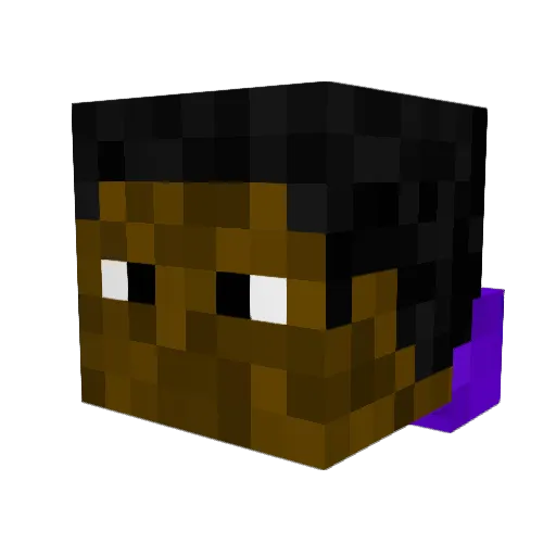tyler_mojo Minecraft avatar head, 3D render