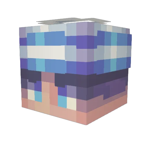 tylerar_ Minecraft avatar head, 3D render