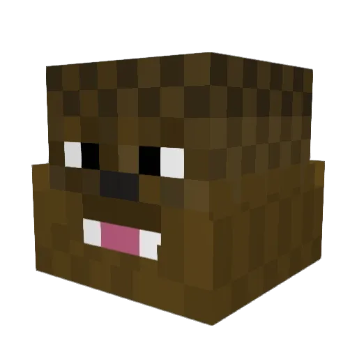 tylerc99 Minecraft avatar head, 3D render