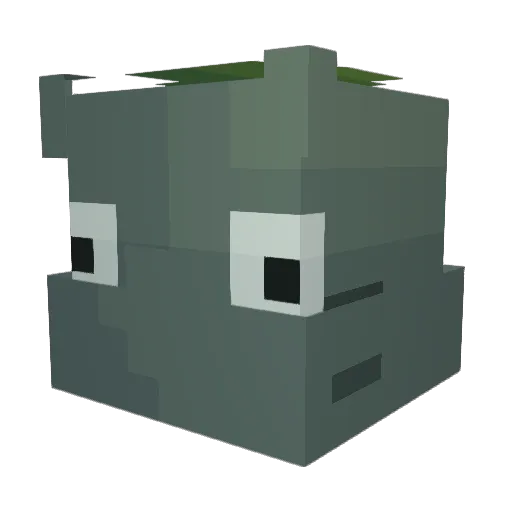 tylercw Minecraft avatar head, 3D render