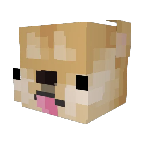tylerfitzg Minecraft avatar head, 3D render