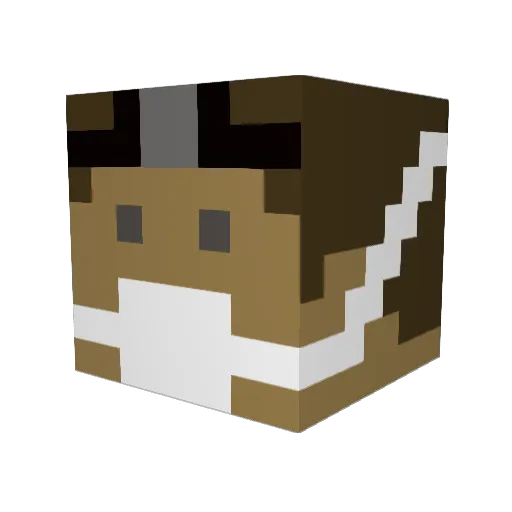 tylerhall49 Minecraft avatar head, 3D render