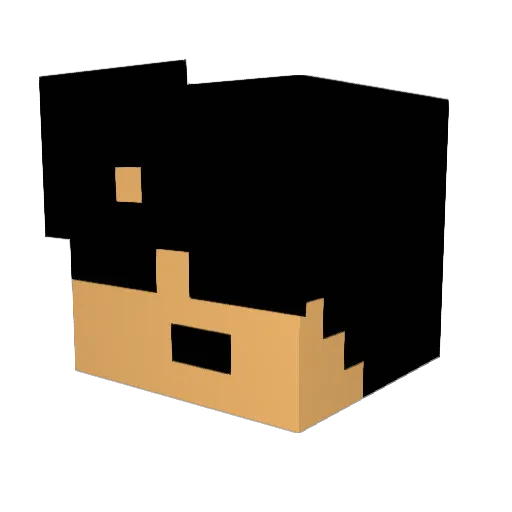 tylerl93 Minecraft avatar head, 3D render