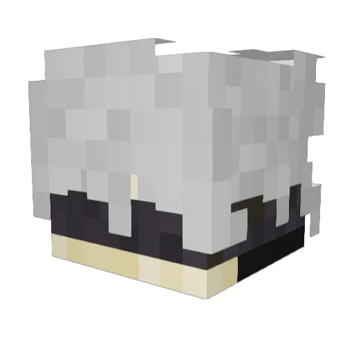 tylernol27 Minecraft avatar head, 3D render