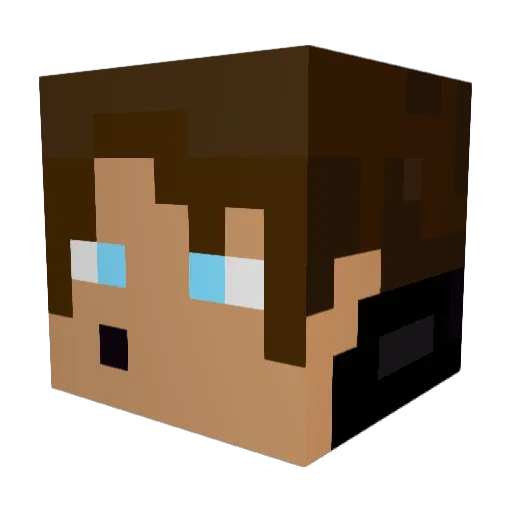 tylerpatrick51 Minecraft avatar head, 3D render