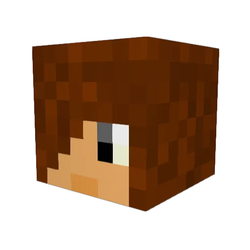tylerrice99 Minecraft avatar head, 3D render