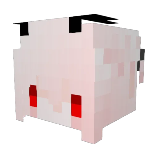 tylersx4 Minecraft avatar head, 3D render