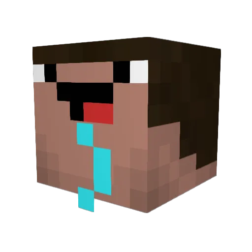 tylertim08 Minecraft avatar head, 3D render