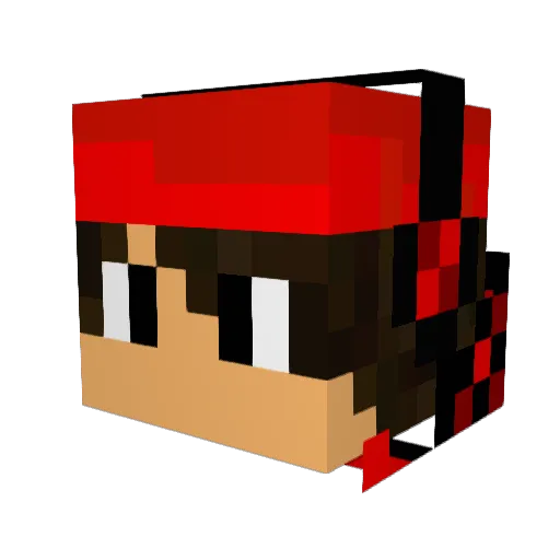 tylerxj Minecraft avatar head, 3D render