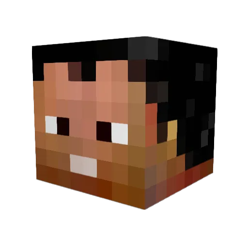 tylester2013 Minecraft avatar head, 3D render