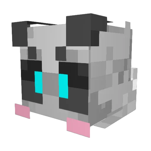 tylobraixen Minecraft avatar head, 3D render