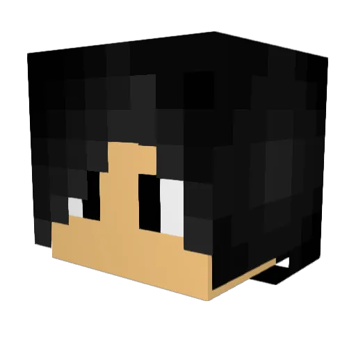 tylux333 Minecraft avatar head, 3D render