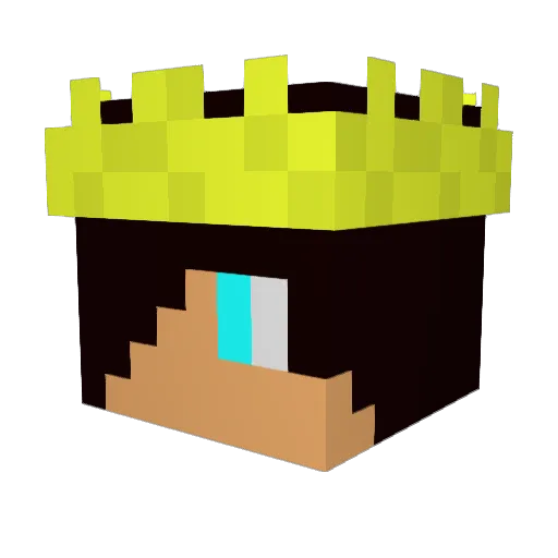 tym_fed Minecraft avatar head, 3D render