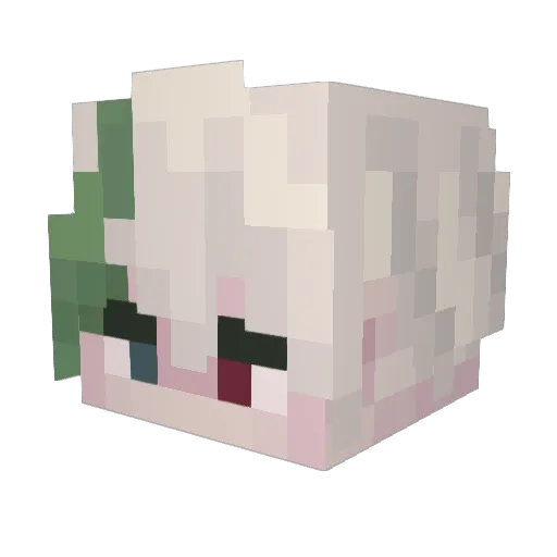tymbohka_ Minecraft avatar head, 3D render