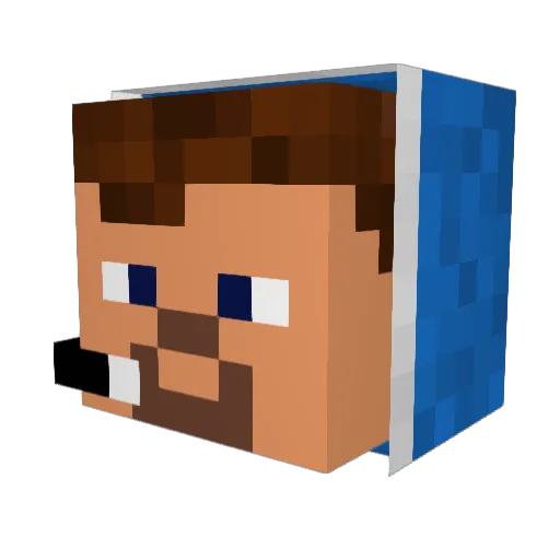 tymek205 Minecraft avatar head, 3D render