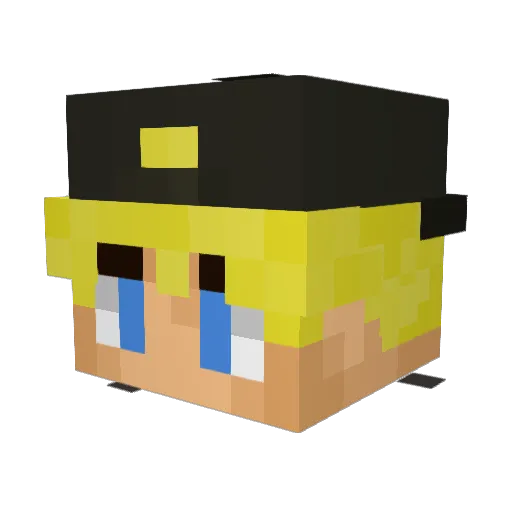 tymek471 Minecraft avatar head, 3D render