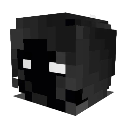 tymora1 Minecraft avatar head, 3D render