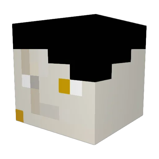 tyniwings Minecraft avatar head, 3D render