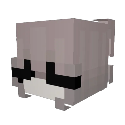 tynka44 Minecraft avatar head, 3D render