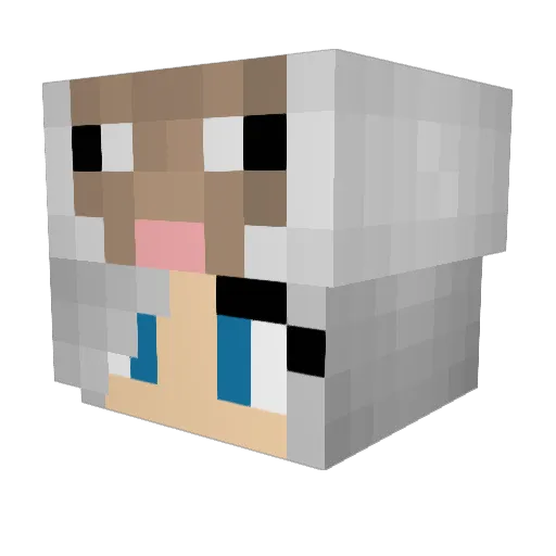 tyokoreto Minecraft avatar head, 3D render