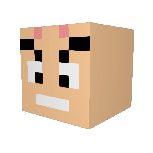 tyowa Minecraft avatar head, 3D render
