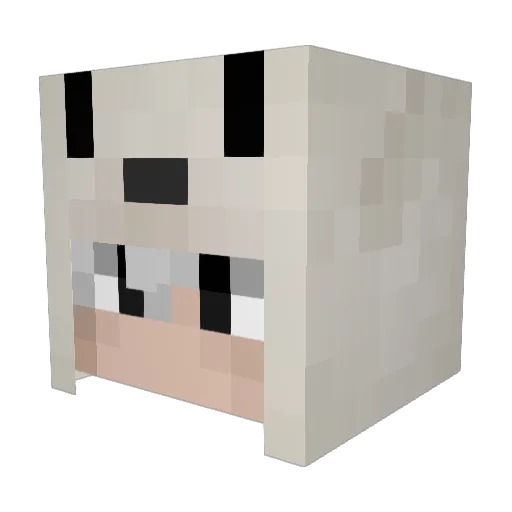 typeshjjt Minecraft avatar head, 3D render