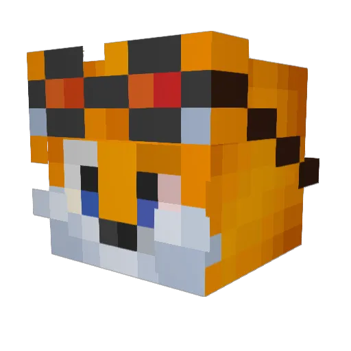 typhlo0o Minecraft avatar head, 3D render