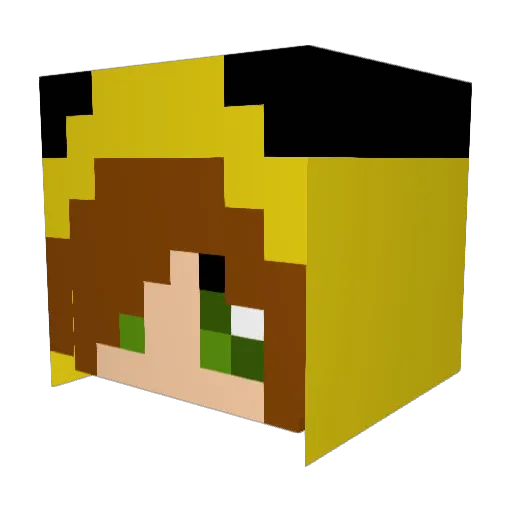 typicalasiangirl Minecraft avatar head, 3D render