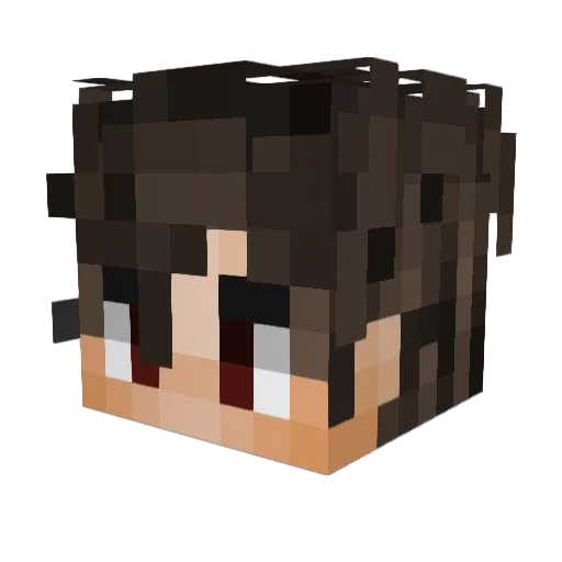 typicaljr Minecraft avatar head, 3D render
