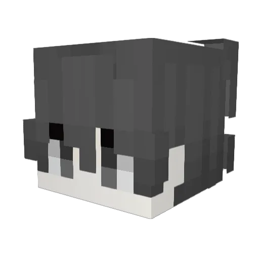 typicalkenz Minecraft avatar head, 3D render