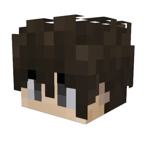 typisch_philV2 Minecraft avatar head, 3D render