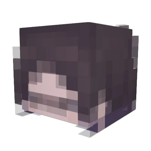 typographics Minecraft avatar head, 3D render